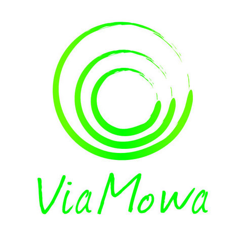Logo Via Mova - patrona konferencji